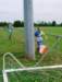 p5290057_small.jpg